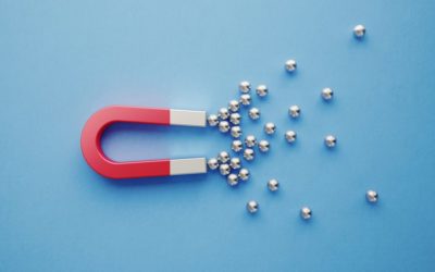 Blog Marketing Your Sign Franchise With Signarama